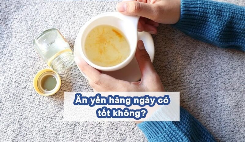 Ăn Yến Sào Hằng Ngày Có Nên Không? Lợi Ích Và Những Lưu Ý Cần Biết