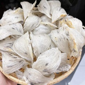 166755437 2823500364558941 8447057825788986386 n 888x1024 1